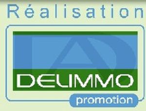 logo partenaire https://delimmo-concept.fr